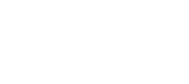Damla Shipping Agency - Aliaga - Nemrut Shipping Agency logo